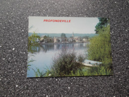 PROFONDEVILLE: La Meuse - Profondeville