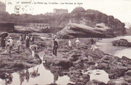 64 - BIARRITZ -   La Peche Aux Crevettes - Les Rochers Du Basta - Biarritz