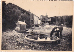 LAFORET Sur  SEMOIS ( Vresse )  - L'abreuvoir - Vresse-sur-Semois