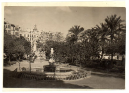 Foto Del Parque  Alicante - Alicante