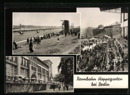 AK Hoppegarten Bei Berlin, Pferderennen Auf Der Rennbahn  - Other & Unclassified