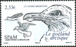 ARCTIC-ANTARCTIC, SAINT PIERRE AND MIQUELON 2006 ARCTIC GULL AIR MAIL** - Fauna Artica