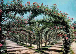 94 - L'Hay Les Roses - La Roseraie - Fleurs - CPM - Voir Scans Recto-Verso - L'Hay Les Roses