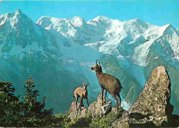 74 - Chamonix - Mont-Blanc - Chamois Des Alpes - Col Du Brévent - Massif Du Mont-Blanc - CPM - Voir Scans Recto-Verso - Chamonix-Mont-Blanc