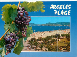 66 - Argelès Sur Mer - La Plage  Au Loin Les Albères - Grappe De Raisins - CPM - Voir Scans Recto-Verso - Argeles Sur Mer