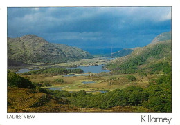 Irlande - Kerry - Killarney - Ladies' View - Voir Timbre - Ireland - CPM - Voir Scans Recto-Verso - Kerry