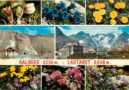 05 - Hautes Alpes - Col Du Galibier - Multivues - Fleurs - CPM - Voir Scans Recto-Verso - Autres & Non Classés
