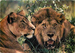 Animaux - Fauves - Lion - East African Game - Lion Et Lionne - CPM - Voir Scans Recto-Verso - Leeuwen