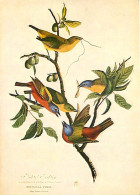 Animaux - Oiseaux - Art - Dessin - Peinture - Les Oiseaux D'Audubon - Fringilla Ciris - Carte Neuve - CPM - Voir Scans R - Birds