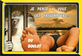 Animaux - Singes - Macaque - Carte à Message - CPM - Voir Scans Recto-Verso - Monkeys