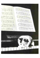 Animaux - Chats - Musique - Piano - Partition - Chatons - CPM - Voir Scans Recto-Verso - Cats