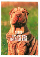 Animaux - Chiens - Shar Pei - Carte Humoristique - CPM - Voir Scans Recto-Verso - Dogs