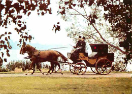 Animaux - Chevaux - Suède - A Swedish Postal Coach - Attelage - Carte Neuve - Voir Scans Recto Verso  - Paarden