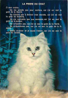 Animaux - Chats - La Prière Du Chat - CPM - Voir Scans Recto-Verso - Chats