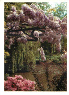 27 - Giverny - Musée Claude Monet - Le Jardin D'eau - La Glycine Mauve Du Temps De Claude Monet - CPM - Voir Scans Recto - Autres & Non Classés