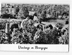 Les Vendange En Bourgogne - état - Altri & Non Classificati