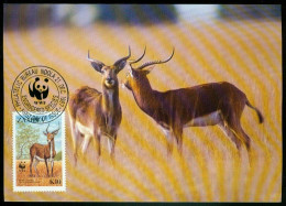 Mk Zambia Maximum Card 1987 MiNr 441 | Endangered Wildlife. WWF. Black Lechwe Watching For Danger #max-0157 - Zambie (1965-...)