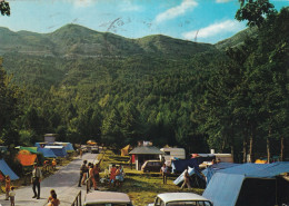 Carpegna Stazione Climatica Area Campeggio Nella Foresta - Sonstige & Ohne Zuordnung