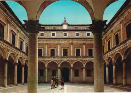 Urbino Palazzo Ducale Il Cortile D'onore - Autres & Non Classés