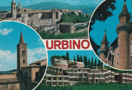 Urbino Vedute - Autres & Non Classés