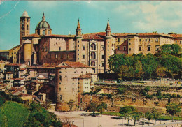 Urbino Panorama - Autres & Non Classés