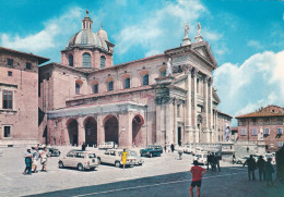 Urbino Il Duomo - Sonstige & Ohne Zuordnung