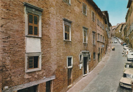 Urbino Via Raffaello Casa Natale Di Raffaello - Autres & Non Classés