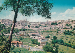 Urbino Panorama - Autres & Non Classés
