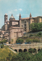 Urbino Palazzo Ducale Torricini - Other & Unclassified