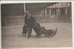 2422-351  Les Chiens Policiers Attaque De L'apache Par 4 Chiens   Retrait Le 16-06 - Dogs