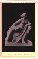 Fotografie Römmler & Jonas, Dresden, Statue: Ariadne Auf Dem Panther, Nach Von Danncker  - Andere & Zonder Classificatie