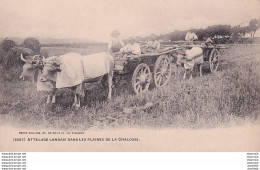 D40  Attelage Landais Dans Les Plaines De La Chalosse  ............ Carte Recoupée De 0,5 Cm En Haut - Montfort En Chalosse