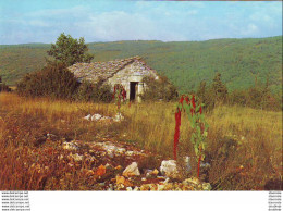 D46 SAINT CERE  La Maison Du Berger - Autres & Non Classés