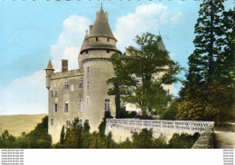 D46 MERCUES  Le Château - Altri & Non Classificati