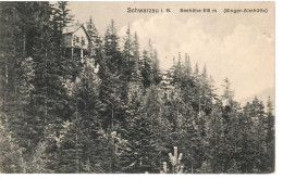 1910/20 - Schwarzau Im Gebirge , Gute Zustand, 2 Scan - Neunkirchen