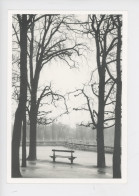 Paris Au Luxembourg - Photographe Jean Mounicq - Cp Vierge Ed. Hazan 1989 N° 6183 Magie Noire - Parcs, Jardins