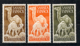 Sahara 1951 - Camellos Ed 91-93 - Spanish Sahara