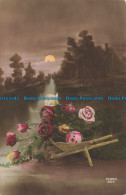 R655899 River At Night. Roses. Furia - Monde
