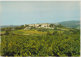 Castelnau De Montmiral Cité Médiévale Vue Générale - Castelnau De Montmirail