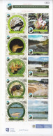 2020 Colombia National Parks Series 6 Birds Dolphins Reptiles  Miniature Sheet Of 10 MNH - Colombia