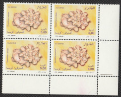 Bloc De 4 : N°1331 Neufs**/MNH - Année 2002- Coquillages   (db) - Algerien (1962-...)