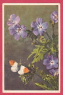 AE268   INSECTES  PAPILLON  FLEURS GERANIUM  DES FORETS  - - Insects