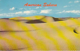 AK 214086 USA - Arizona - Sand Dunes Located 13 Mile Southwest Of Yuma - Other & Unclassified