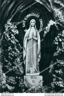 Cd223 Cartolina Lourdes La Vergine Immacolata  Francia France - Sonstige & Ohne Zuordnung
