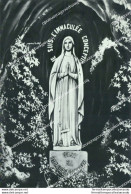 Cd222 Cartolina Lourdes La Vergine Immacolata  Francia France - Autres & Non Classés