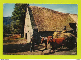 Agriculture N°19/124 Ferme Au Toit De Chaume Du Limousin Bel Attelage De Vaches VOIR DOS Et Flamme De Limoges En 1970 - Farms