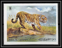 0173h/ Umm Al Qiwain ** MNH Michel N°478 B Tigre Tiger Non Dentelé Imperf Amimaux Animals - Umm Al-Qiwain