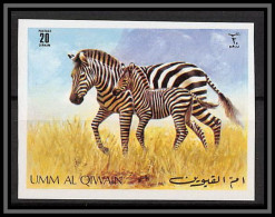 0173d/ Umm Al Qiwain ** MNH Michel N°480 B Zebre Zebra Non Dentelé Imperf Amimaux Animals - Umm Al-Qaiwain