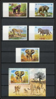 0170/ Umm Al Qiwain ** MNH Michel N° 478/482 B Bloc 34 Animaux Wild Animals Tiger Gorilla Bear Non Dentelé Imperf - Elefanten