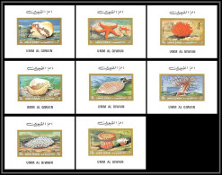 0090/ Umm Al Qiwain Deluxe Blocs ** MNH Michel N° 682 / 687 Marine Fauna Sea - Faune Marine Anemone Cowrie Snail - Schelpen